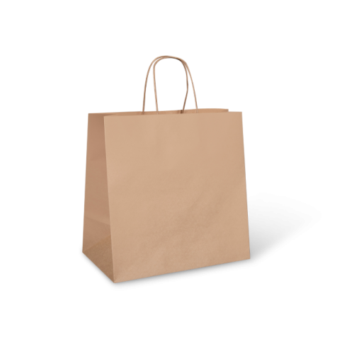 Budget Takeaway (305w+175x305h) Brown Twisted Handle Paper Bag