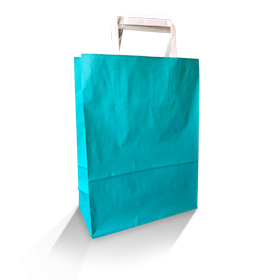 XS (220w+100x290h) Teal Solid Paper Carry Bag