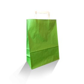 XS (220w+100x290h) Green Solid Paper Carry Bag