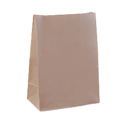 20SOS (305w+175x430h) Brown Deli Paper Bag